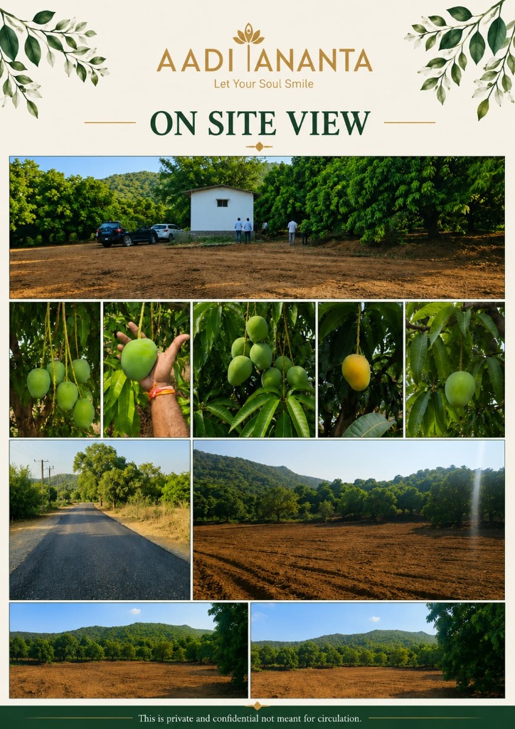 On Site View