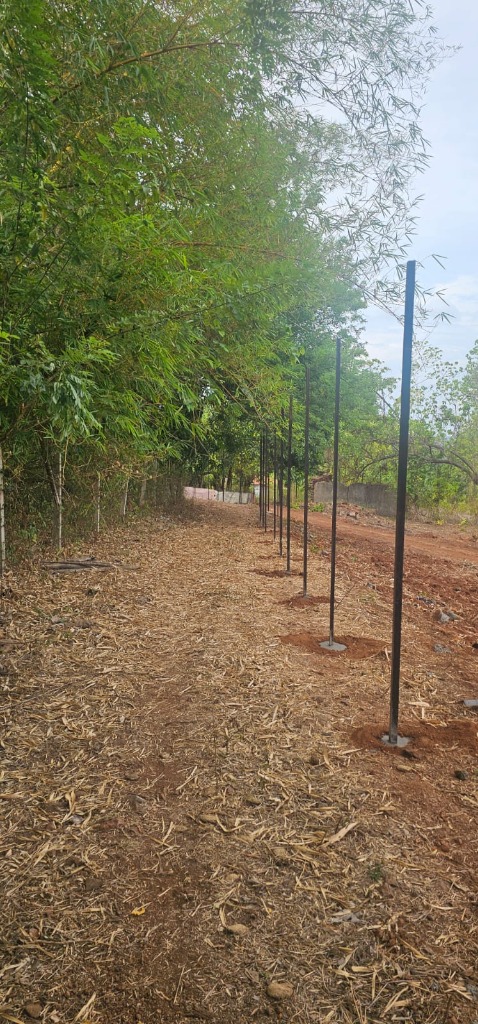 Site Boundary & Fencing