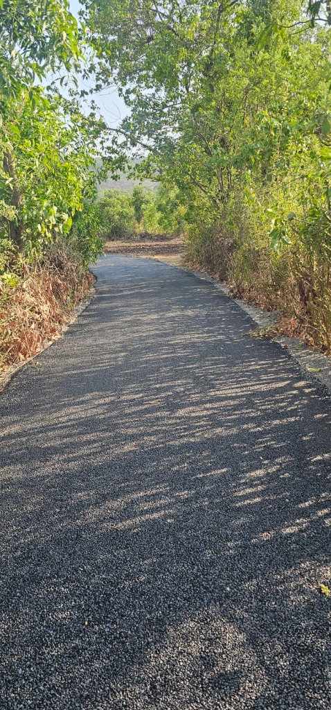 Site View - Image 3