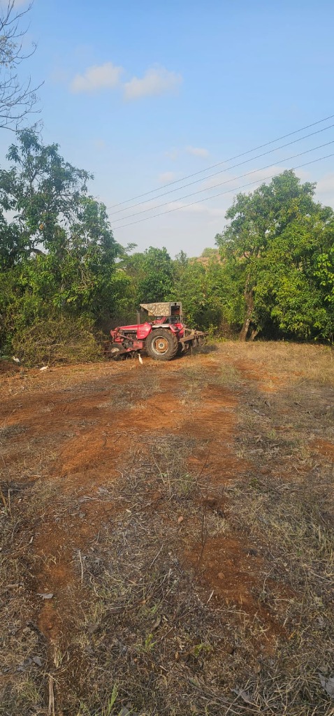 Site View - Image 9