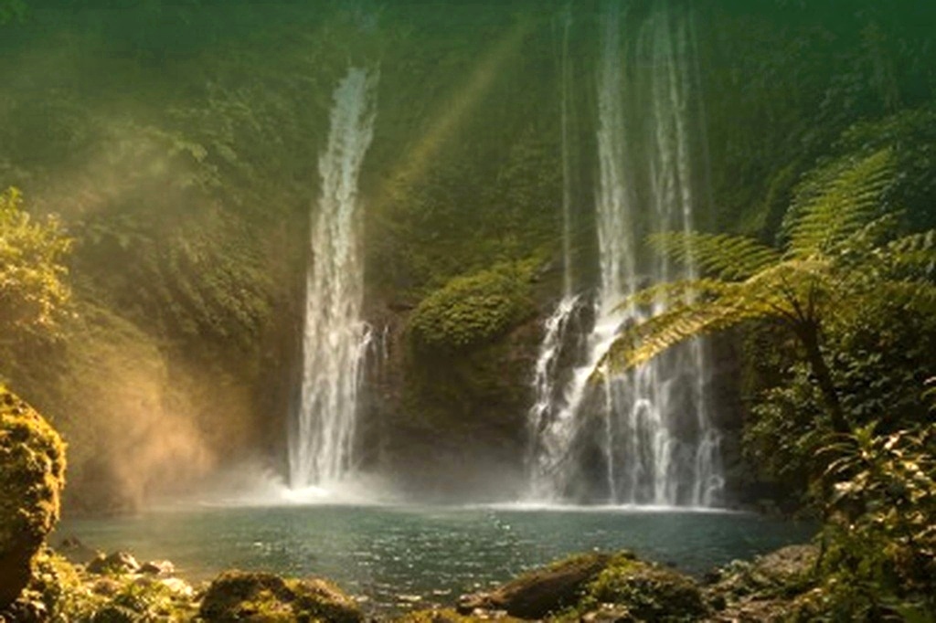 Natural Waterfall & Trails
